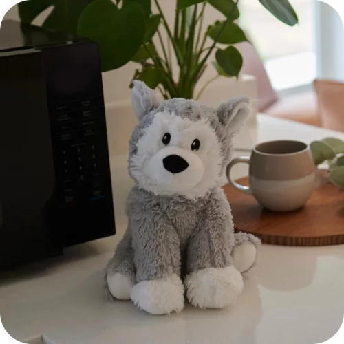 Warmies levendulás, mikróba tehető husky
